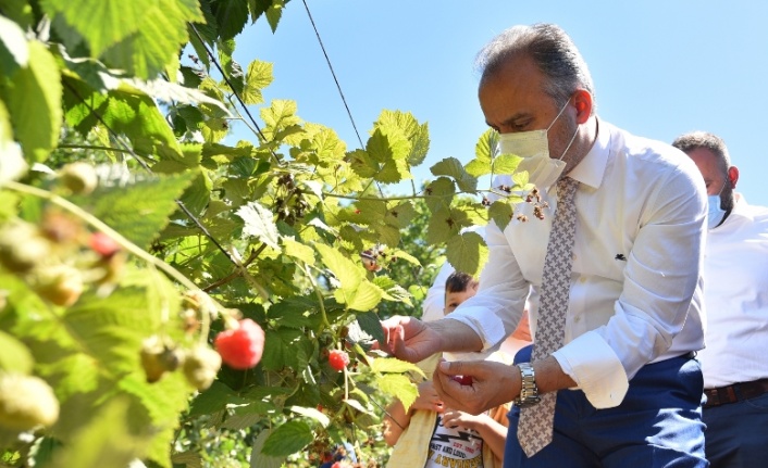 Büyükşehir destekliyor çiftçi kazanıyor