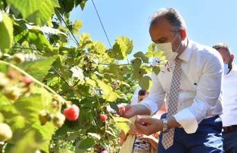 Büyükşehir destekliyor çiftçi kazanıyor