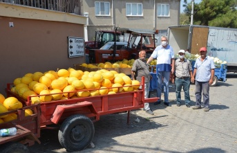 Karacabeyli çiftçiler kavun hasadından memnun