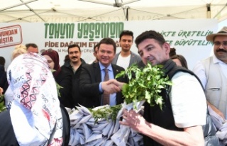 Osmangazi’deki balkonlar tarım alanına dönüşecek