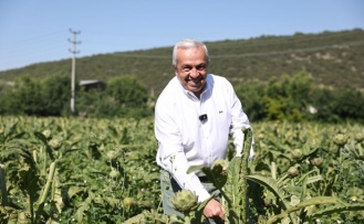 Sürdürülebilir tarım için ortak akıl buluşmaları