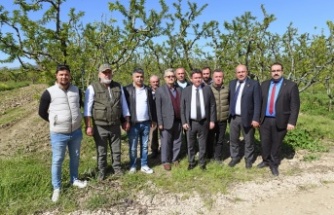 Başkan Aydın zirai don mağduru çiftçileri yalnız bırakmadı